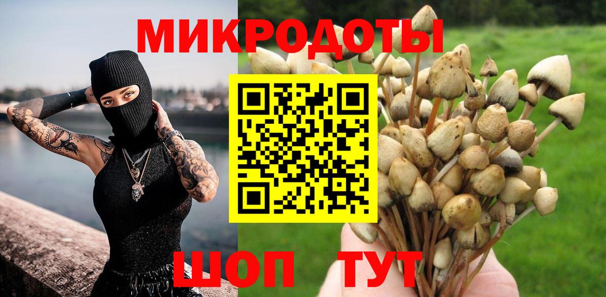 Волгодонск  магазин продажи наркотиков  Вход с VPN  Псилоцибиновые грибы Cubensis  Галлюциногенные грибы Psilocybe 