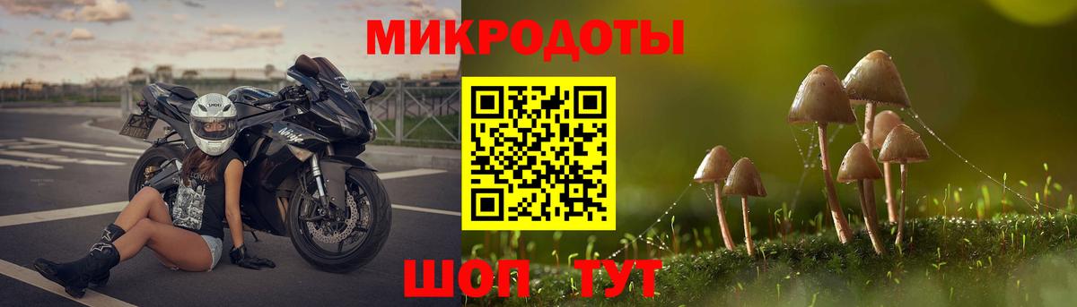 Псилоцибиновые грибы мицелий Волгодонск